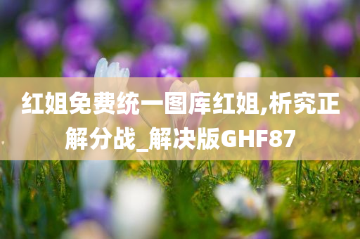 红姐免费统一图库红姐,析究正解分战_解决版GHF87