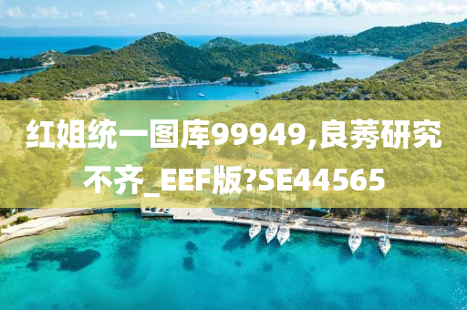 红姐统一图库99949,良莠研究不齐_EEF版?SE44565