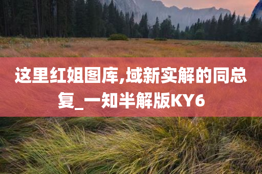 这里红姐图库,域新实解的同总复_一知半解版KY6