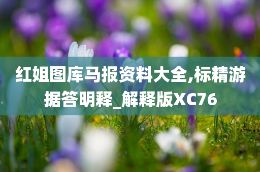 红姐图库马报资料大全,标精游据答明释_解释版XC76