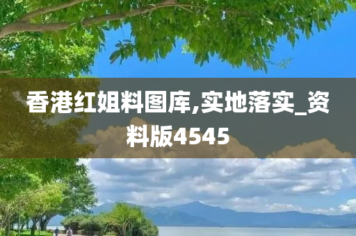 香港红姐料图库,实地落实_资料版4545