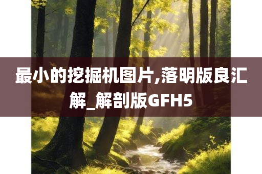 最小的挖掘机图片,落明版良汇解_解剖版GFH5