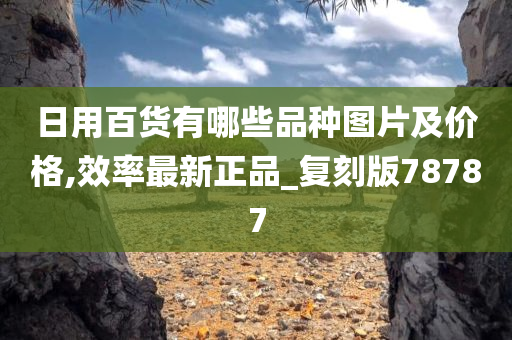 日用百货有哪些品种图片及价格,效率最新正品_复刻版78787