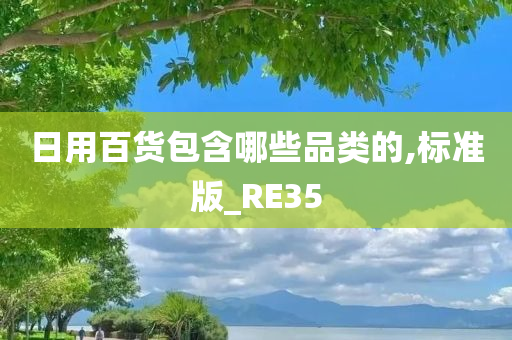 日用百货包含哪些品类的,标准版_RE35