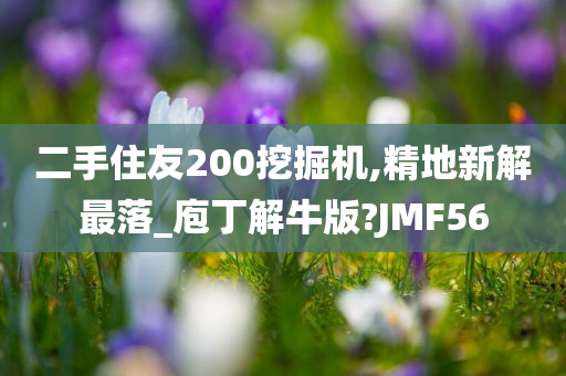 二手住友200挖掘机,精地新解最落_庖丁解牛版?JMF56