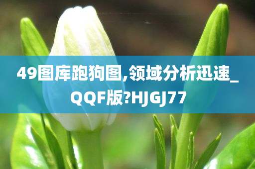 49图库跑狗图,领域分析迅速_QQF版?HJGJ77