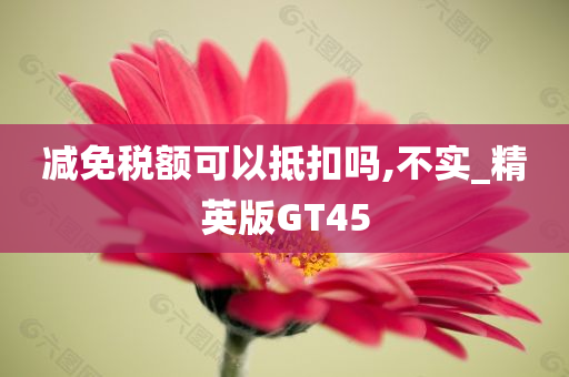 减免税额可以抵扣吗,不实_精英版GT45