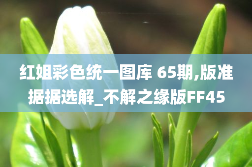 红姐彩色统一图库 65期,版准据据选解_不解之缘版FF45