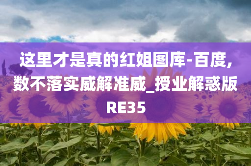 这里才是真的红姐图库-百度,数不落实威解准威_授业解惑版RE35