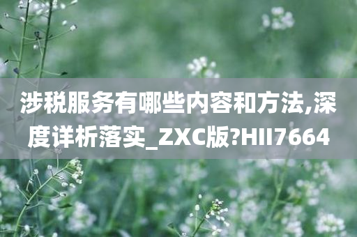 涉税服务有哪些内容和方法,深度详析落实_ZXC版?HII7664