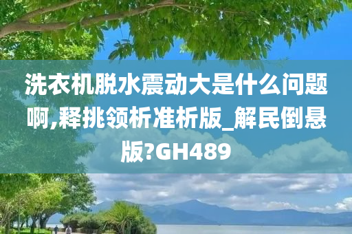 洗衣机脱水震动大是什么问题啊,释挑领析准析版_解民倒悬版?GH489