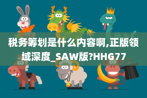 税务筹划是什么内容啊,正版领域深度_SAW版?HHG77