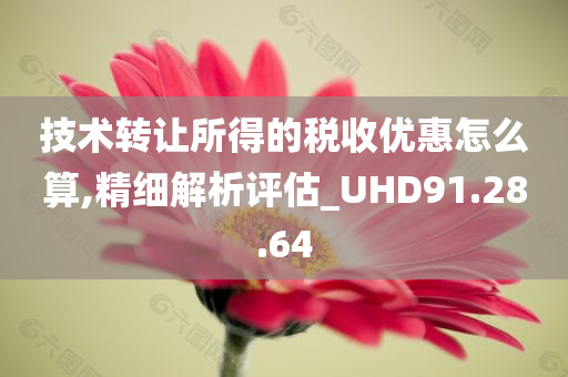 技术转让所得的税收优惠怎么算,精细解析评估_UHD91.28.64