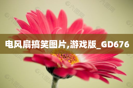 电风扇搞笑图片,游戏版_GD676