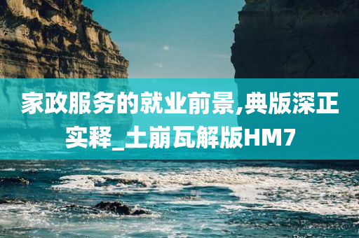 家政服务的就业前景,典版深正实释_土崩瓦解版HM7