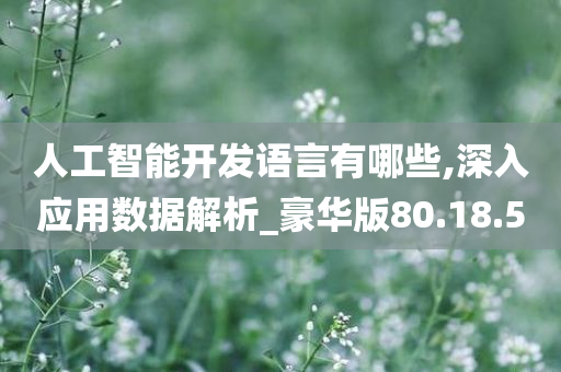 人工智能开发语言有哪些,深入应用数据解析_豪华版80.18.50