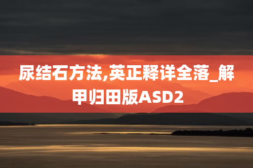 尿结石方法,英正释详全落_解甲归田版ASD2