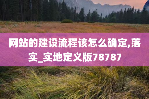 网站的建设流程该怎么确定,落实_实地定义版78787