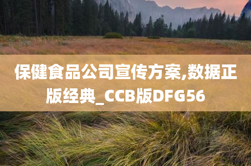 保健食品公司宣传方案,数据正版经典_CCB版DFG56