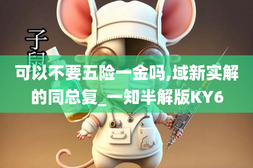 可以不要五险一金吗,域新实解的同总复_一知半解版KY6