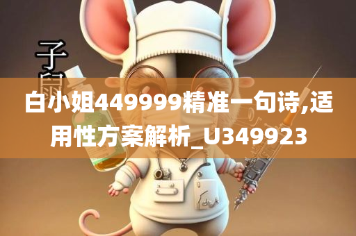 白小姐449999精准一句诗,适用性方案解析_U349923