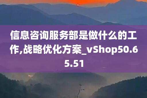 信息咨询服务部是做什么的工作,战略优化方案_vShop50.65.51