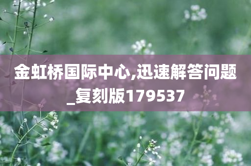 金虹桥国际中心,迅速解答问题_复刻版179537