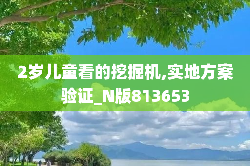 2岁儿童看的挖掘机,实地方案验证_N版813653