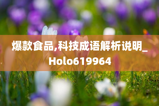 爆款食品,科技成语解析说明_Holo619964