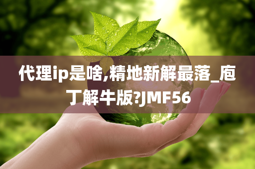 代理ip是啥,精地新解最落_庖丁解牛版?JMF56