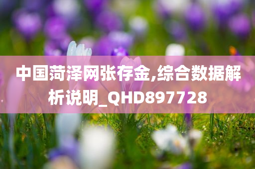 中国菏泽网张存金,综合数据解析说明_QHD897728