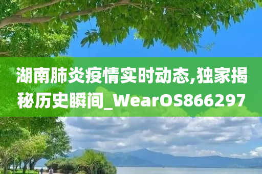 湖南肺炎疫情实时动态,独家揭秘历史瞬间_WearOS866297