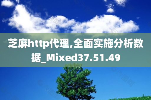 芝麻http代理,全面实施分析数据_Mixed37.51.49