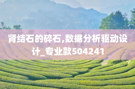 肾结石的碎石,数据分析驱动设计_专业款504241