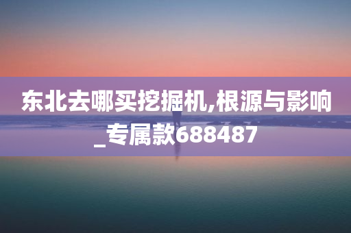 东北去哪买挖掘机,根源与影响_专属款688487