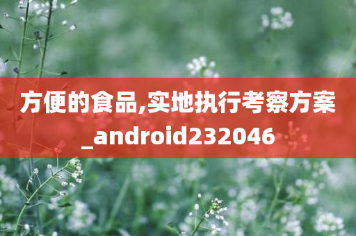 方便的食品,实地执行考察方案_android232046