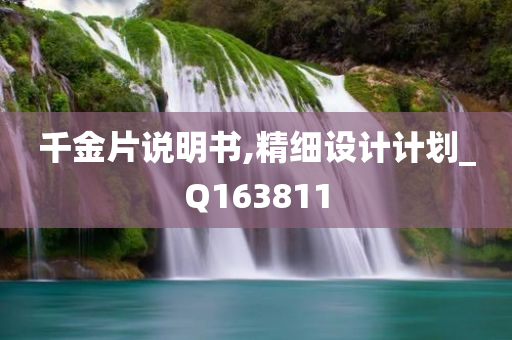 千金片说明书,精细设计计划_Q163811