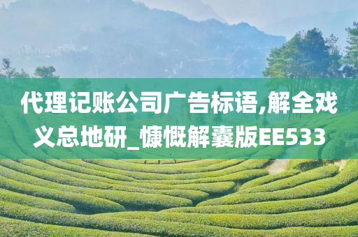 代理记账公司广告标语,解全戏义总地研_慷慨解囊版EE533