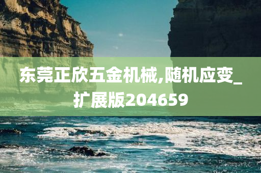 东莞正欣五金机械,随机应变_扩展版204659