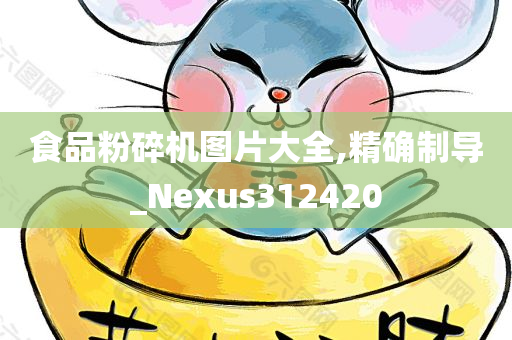 食品粉碎机图片大全,精确制导_Nexus312420