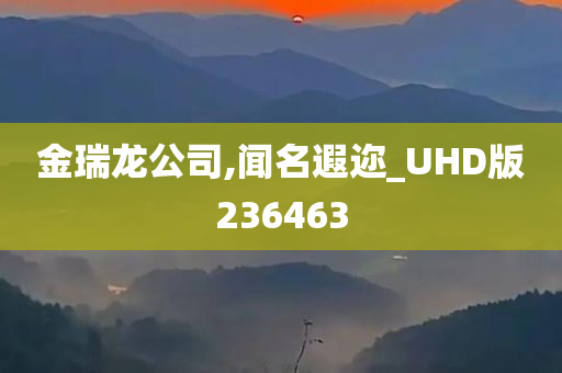 金瑞龙公司,闻名遐迩_UHD版236463