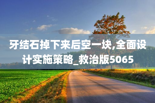 牙结石掉下来后空一块,全面设计实施策略_救治版5065