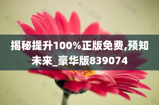 揭秘提升100%正版免费,预知未来_豪华版839074