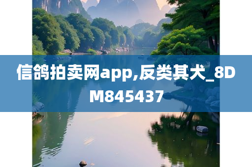 信鸽拍卖网app,反类其犬_8DM845437