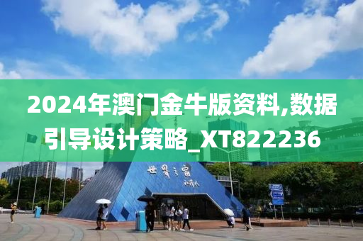 2024年澳门金牛版资料,数据引导设计策略_XT822236