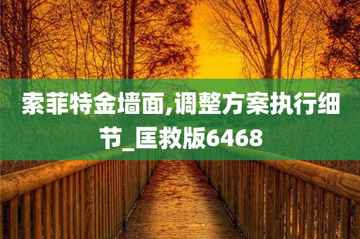 索菲特金墙面,调整方案执行细节_匡救版6468