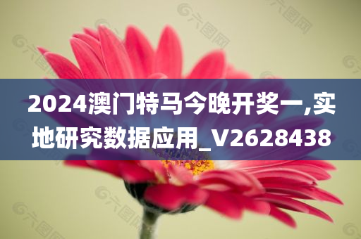 2024澳门特马今晚开奖一,实地研究数据应用_V2628438