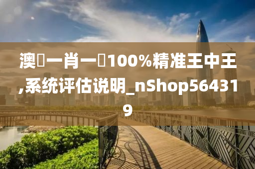 澳門一肖一碼100%精准王中王,系统评估说明_nShop564319