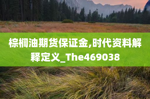 棕榈油期货保证金,时代资料解释定义_The469038