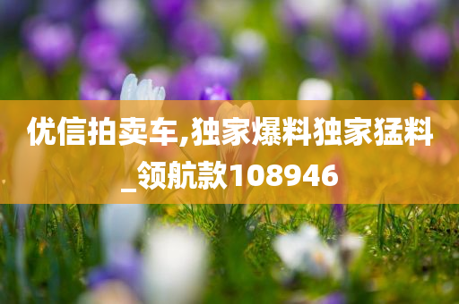 优信拍卖车,独家爆料独家猛料_领航款108946